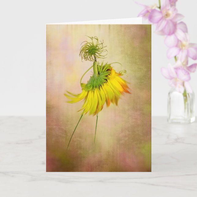 Carte Danseuse de jardin (Orchidée)
