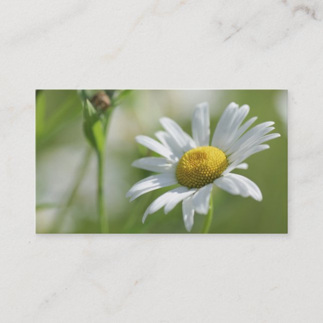 Carte D'appel Chamomille (Devant)