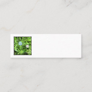 Carte D'appel Hope Mini