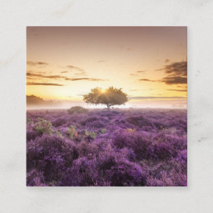 Carte D'appel lever de soleil de l'aube Extraordinaire arbre uni