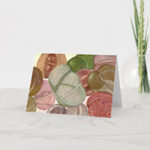 Carte d'aquarelle Lithops par Debra Lee Baldwin
