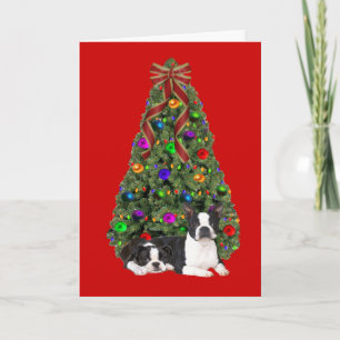 Carte d'arbre de Noël Boston Terrier