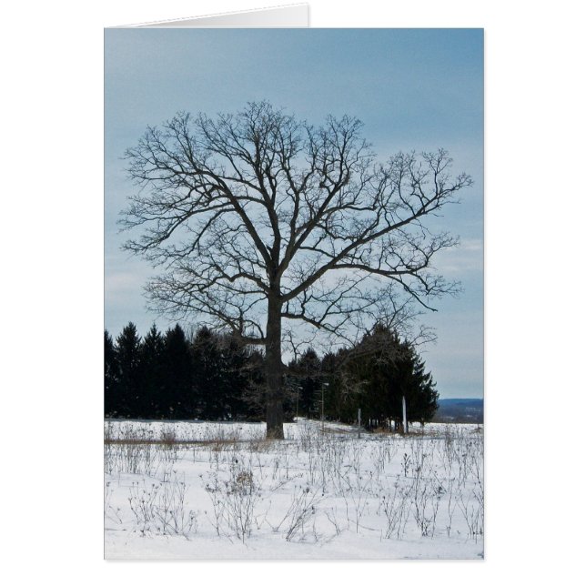 Carte d'arbre d'hiver (Devant)