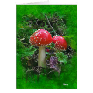 Carte d'art Amanita Muscaria sur Vert - 5" x 7"