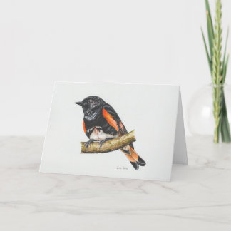 Carte d'art American Redstart Warbler