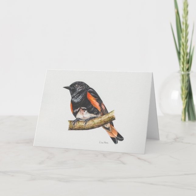 Carte d'art American Redstart Warbler (Devant)