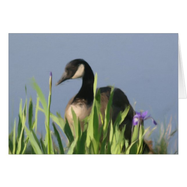 Carte d'art animal de Canada Goose Irises (Devant Horizontal)