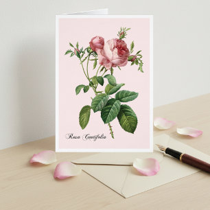 Carte d'art botanique rose