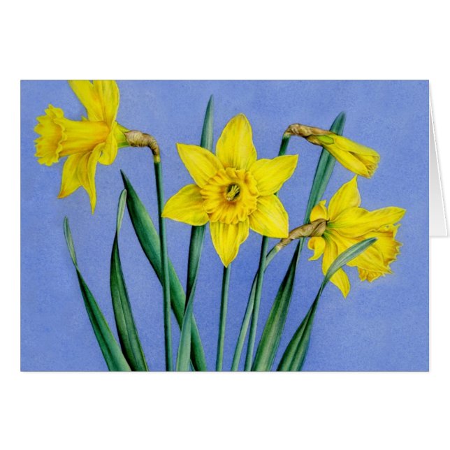 Carte d'art Daffodils couleur jaune (Devant Horizontal)