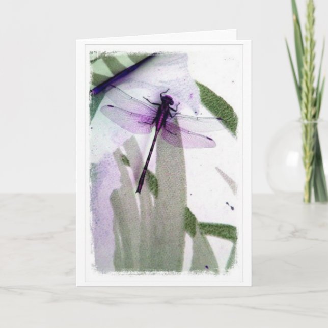 Carte d'art Dragonfly (Devant)