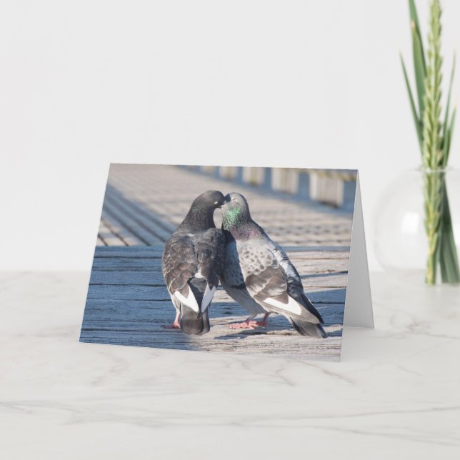 Carte d'art encadrable aux pigeons qui s'embrassen (Devant)
