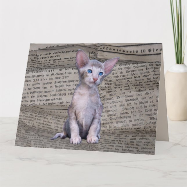 CARTE D'ART JOURNAL DE JOURNAL CAT LOVE SIAMESE (Devant)