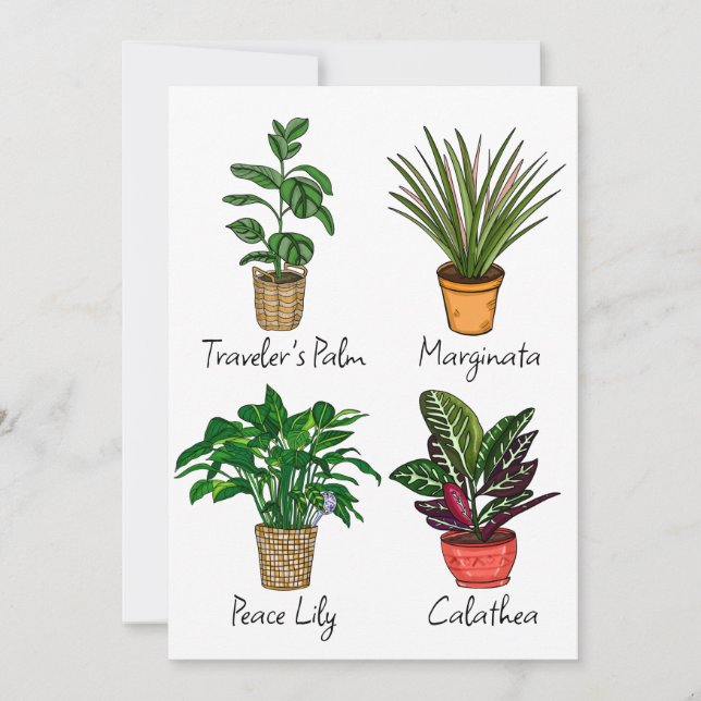 Carte d'art Plante de la maison à main (Devant)