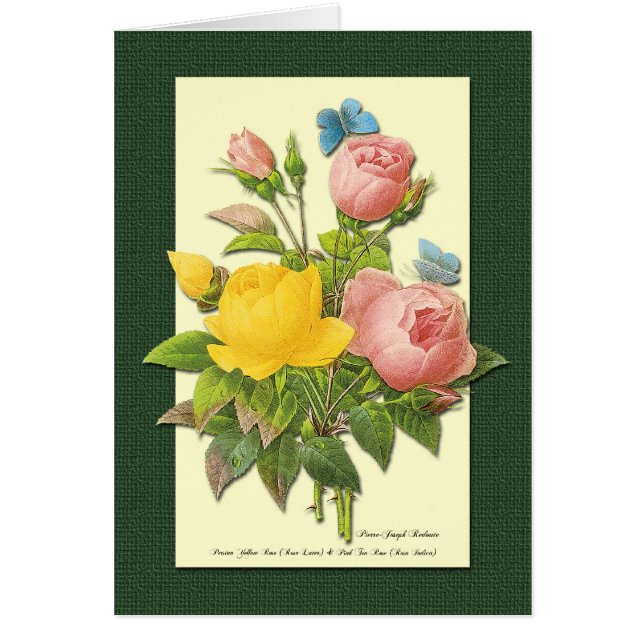 Carte d'art Rose rose et jaune (Devant)