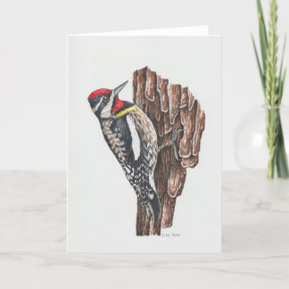 Carte d'art Sapsucker à ventre jaune