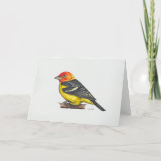 Carte d'art Western Tanager