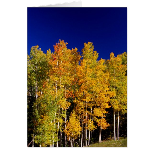 Carte d'Aspen (Devant)