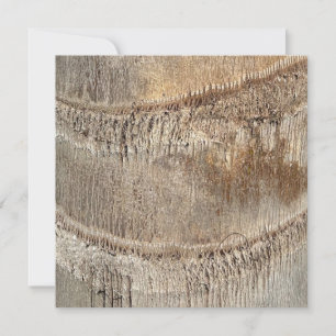 Carte Date Palm Tree Trunk Texture Fermer Photo Image