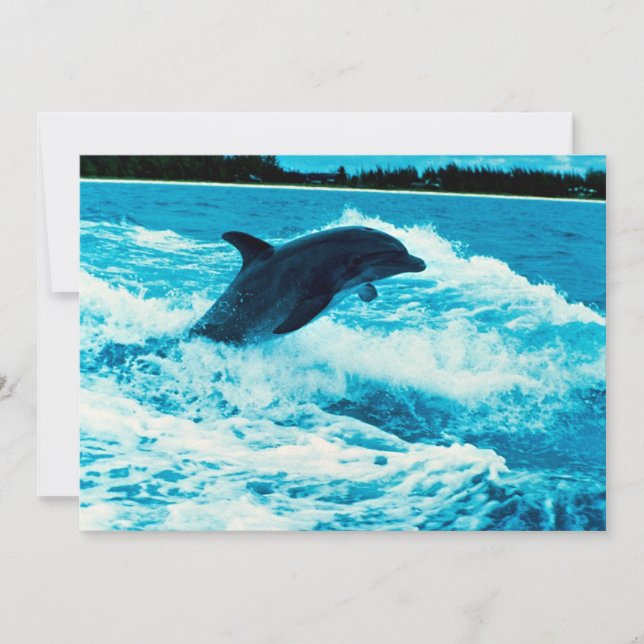 Carte Dauphin à bec (Tursiops truncatus), Bahama Is (Devant)