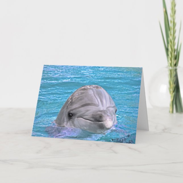 Carte Dauphin souriant (Devant)