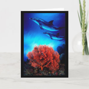 Carte Dauphins sur coraux