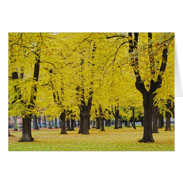 Carte d'automne (Devant horizontal)
