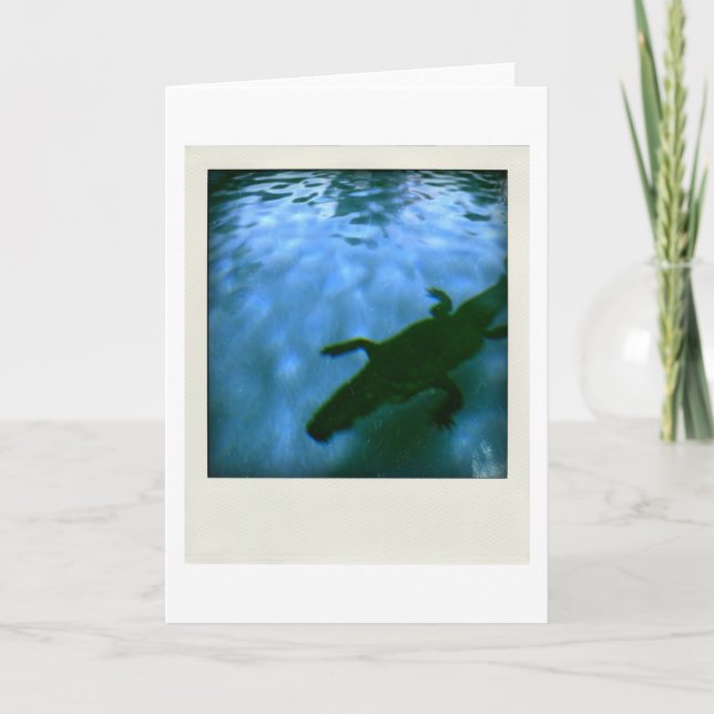 Carte David's Pool 05b06 3d Computer Art card (Devant)