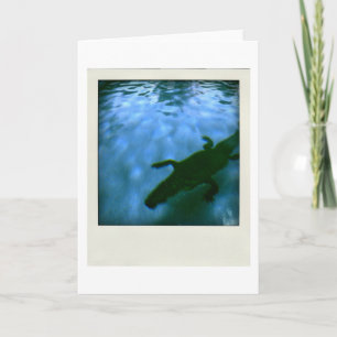 Carte David's Pool 05b06 3d Computer Art card