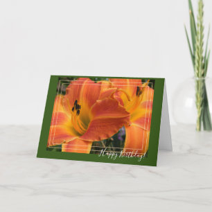 Carte Daylilies/lis orange/joyeux anniversaire