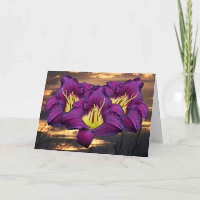 Carte Daylily 'Bela Lugosi (Devant)