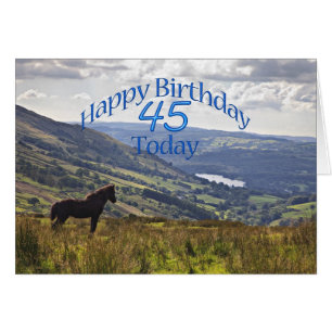 Carte de 45e anniversaire pour le cheval et le pay