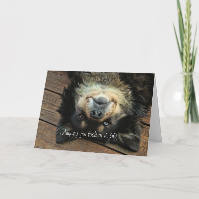 Carte de 60e anniversaire drôle et mignonne (Devant)