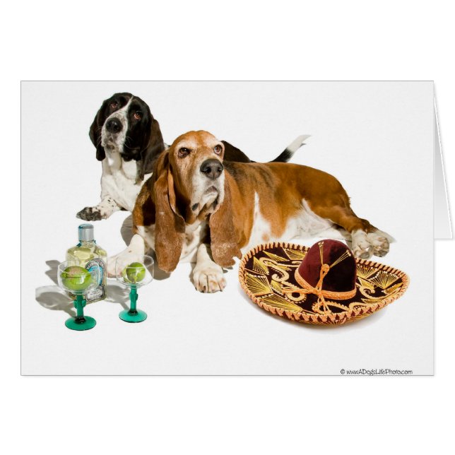 Carte de basset de fiesta (Devant horizontal)