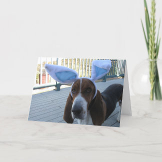 Carte de Basset Hound Pâques