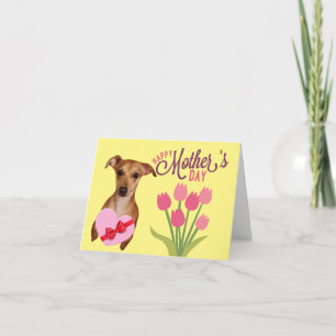 Carte de Beautiful