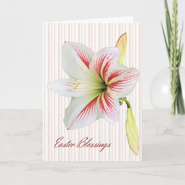 Carte de Bénédiction de Pâques avec Lily (Devant)