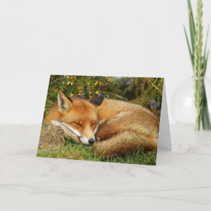 Carte de bien-être pour le renard dormant