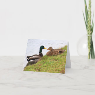 Carte de billet pour canards (vide)