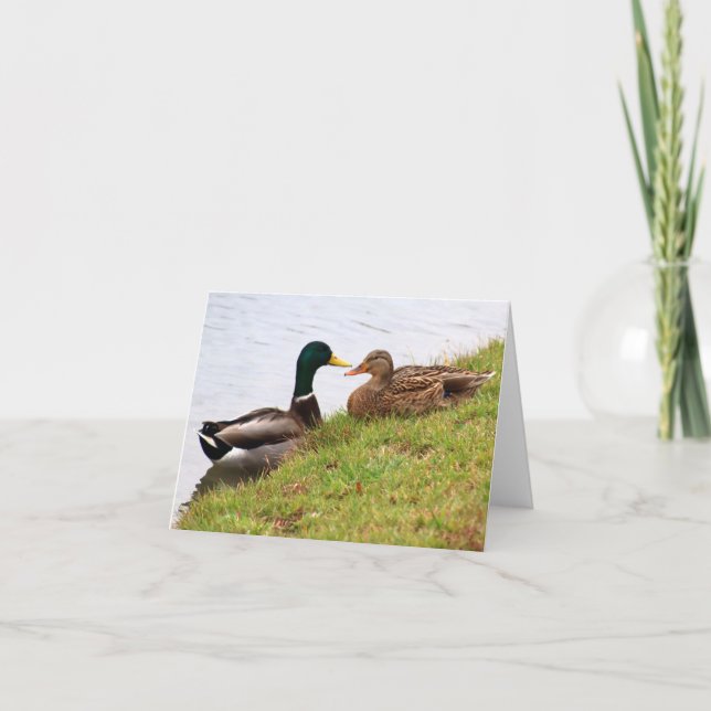 Carte de billet pour canards (vide) (Devant)