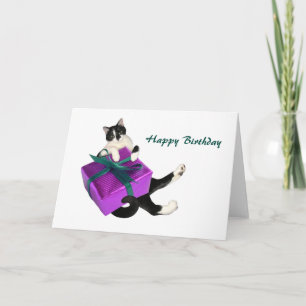 Carte de Black and White Cat