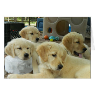 Carte de bloc de glace