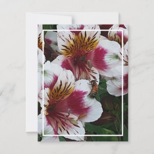 Carte de boîtier abeille et alstromerias