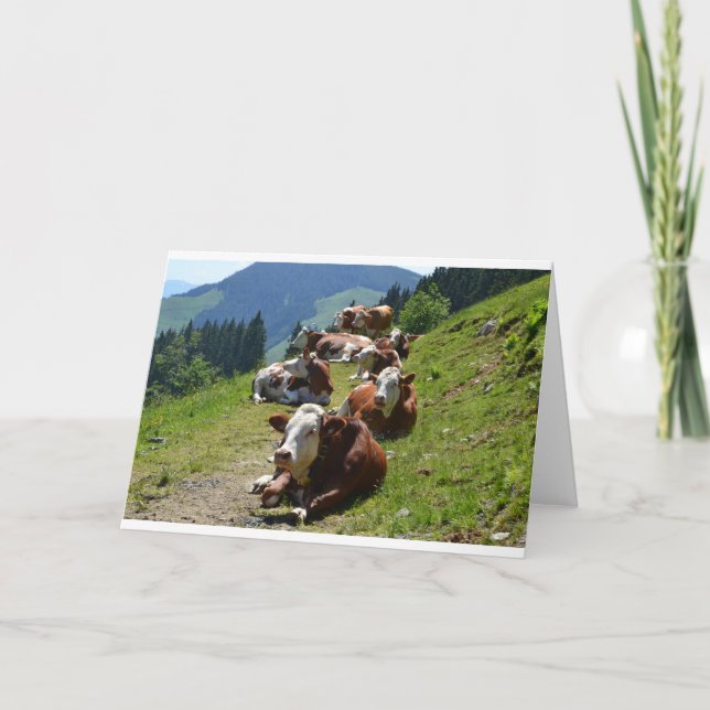 Carte de Bon Anniversaire Groupe de Vaches (Devant)