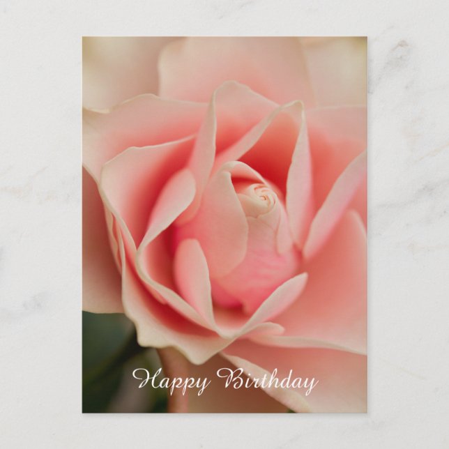 Carte de Bon Anniversaire Rose (Devant)