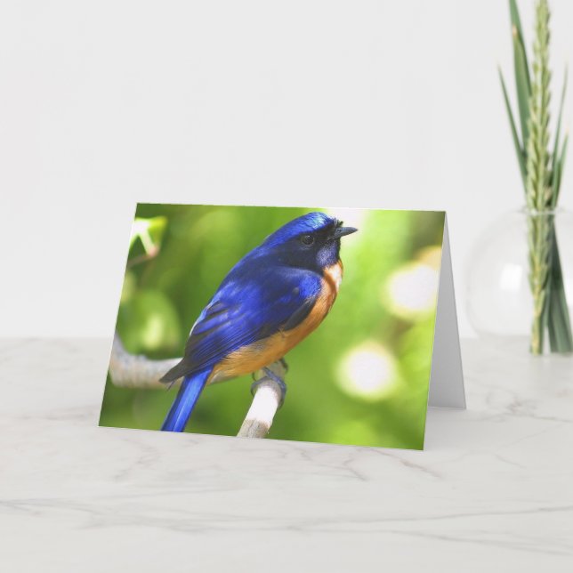 Carte de bonheur d'oiseau bleu (Devant)