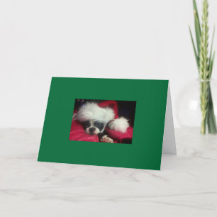 Carte de Boston Terrier Christmas