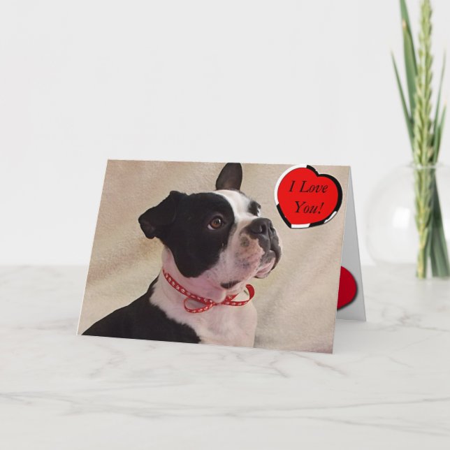 Carte de Boston Terrier Valentine (Devant)