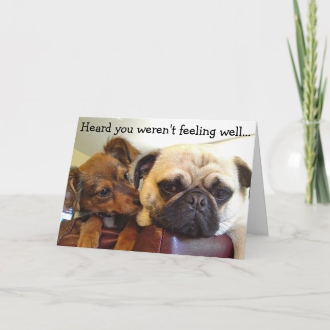 Carte de Bumblesnot : Entendu vous ne se sentaient (Devant)