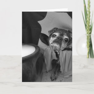 Carte de Bumblesnot Halloween : Compte Pugula