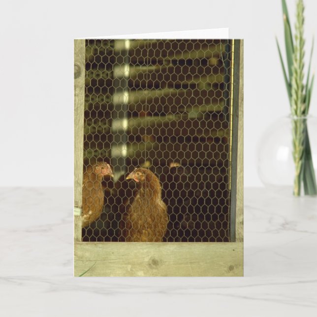 Carte de cage de poulet (Devant)